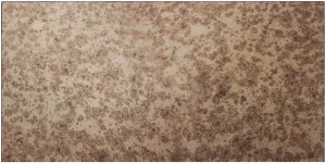 600 x 300mm Large Format Antique Mirror Copper