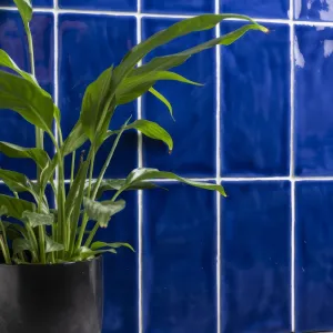 Amun Brick Tile