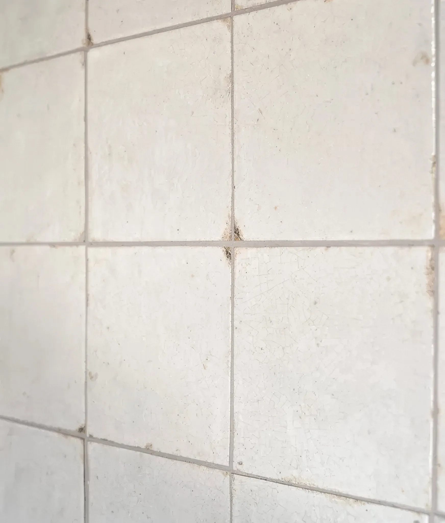 Arte Italiano Blanco Porcelain