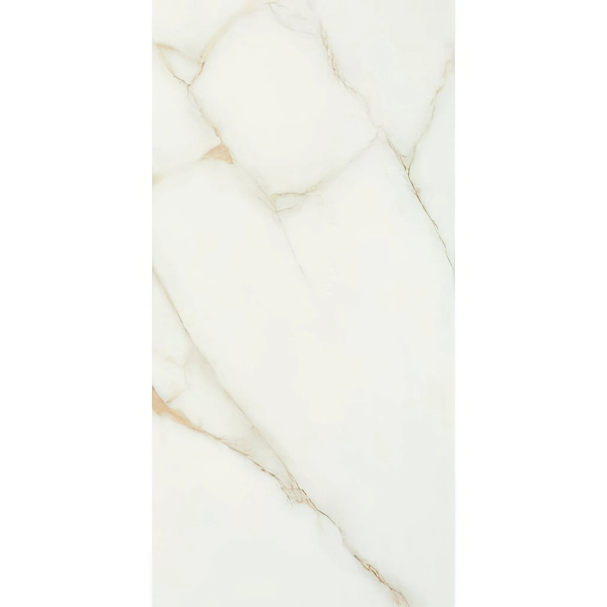 Bianco Oro Polished Porcelain 60 x 120cm