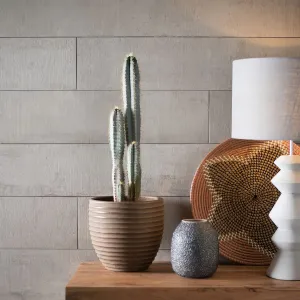 Brasilia Cinza Matt Glazed Porcelain