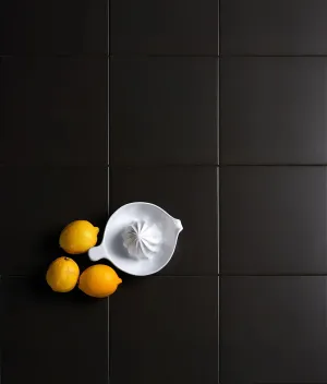 Brompton Porcelain Field Liquorice