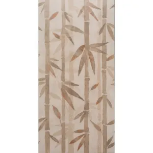 Canopy Bamboo