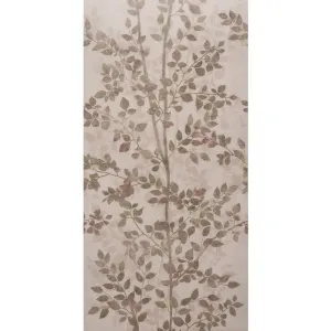 Canopy Beech
