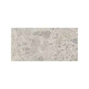 Ceppo Gris 60 x 120cm