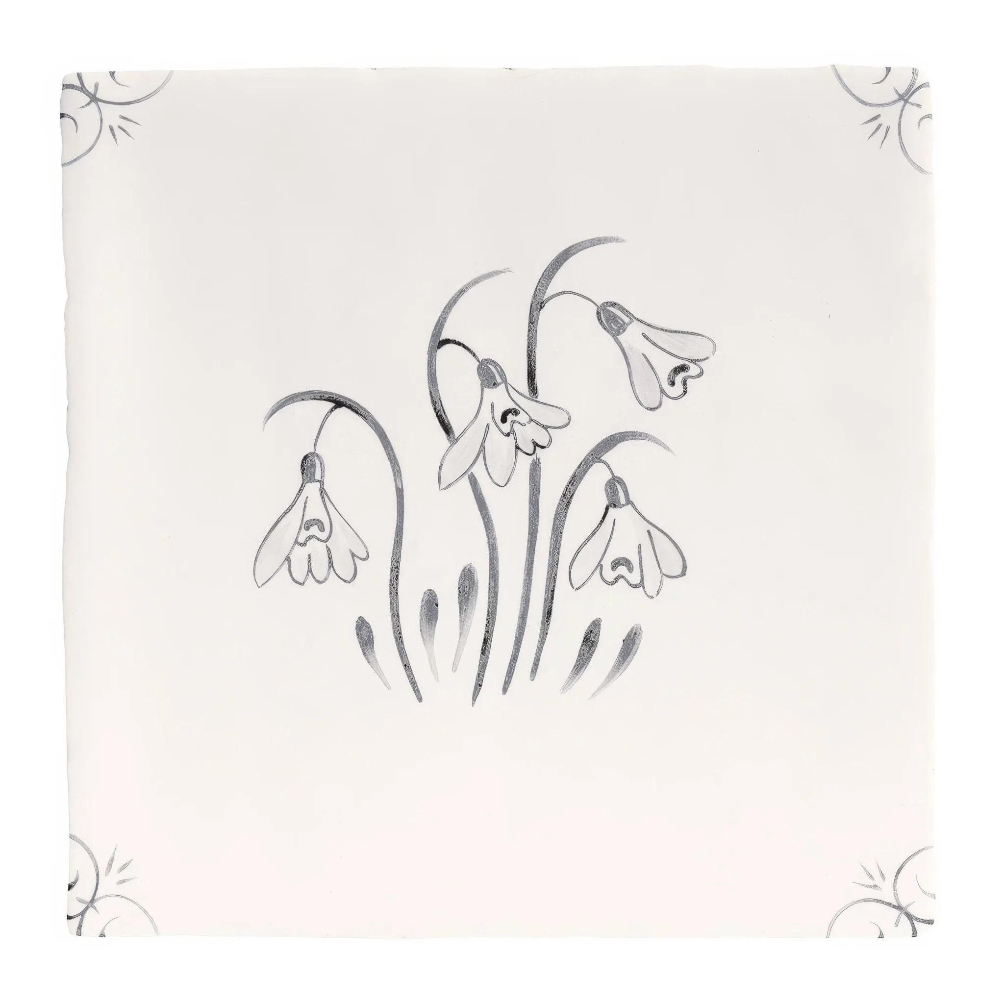 English Delft Charcoal Snowdrop
