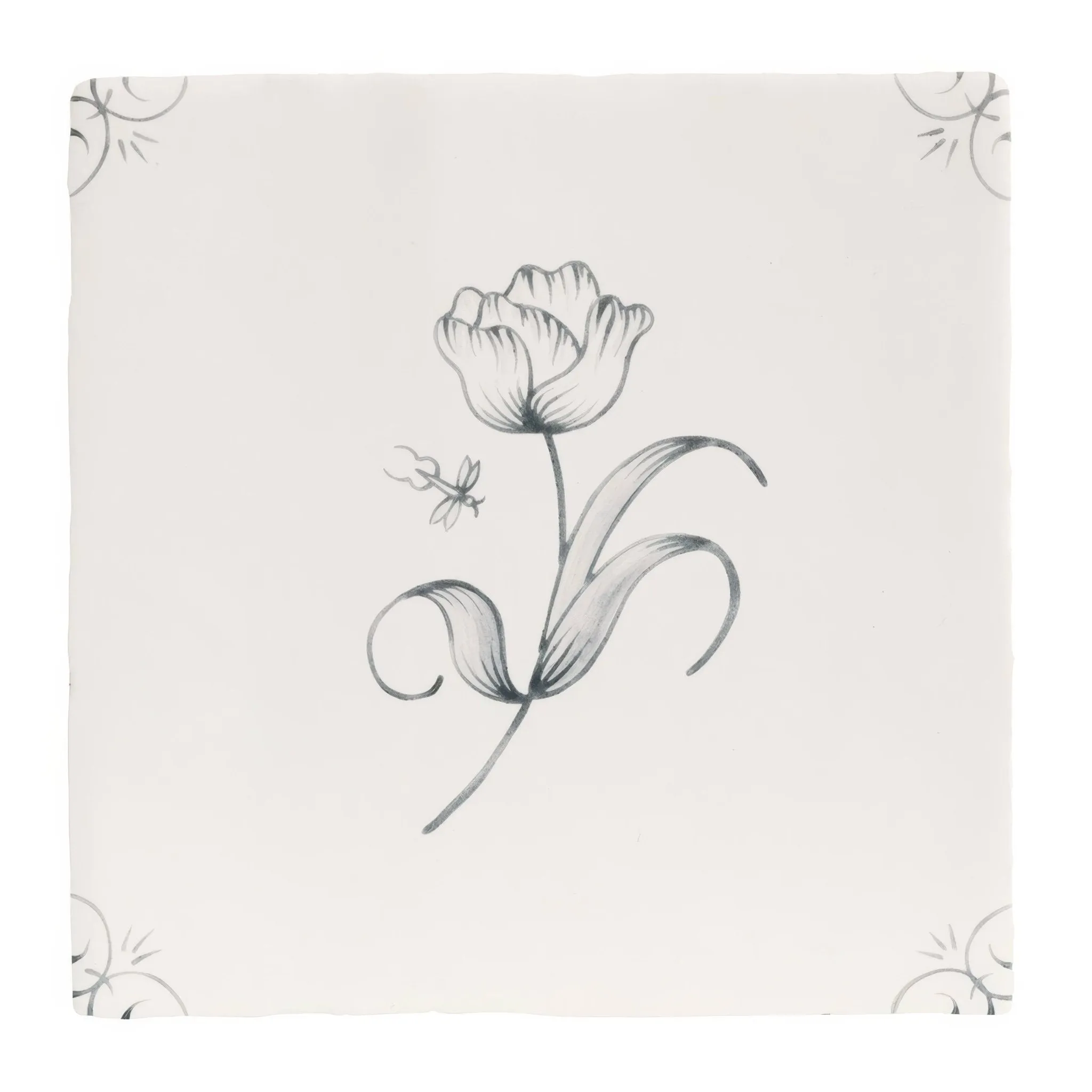 English Delft Charcoal Tulip