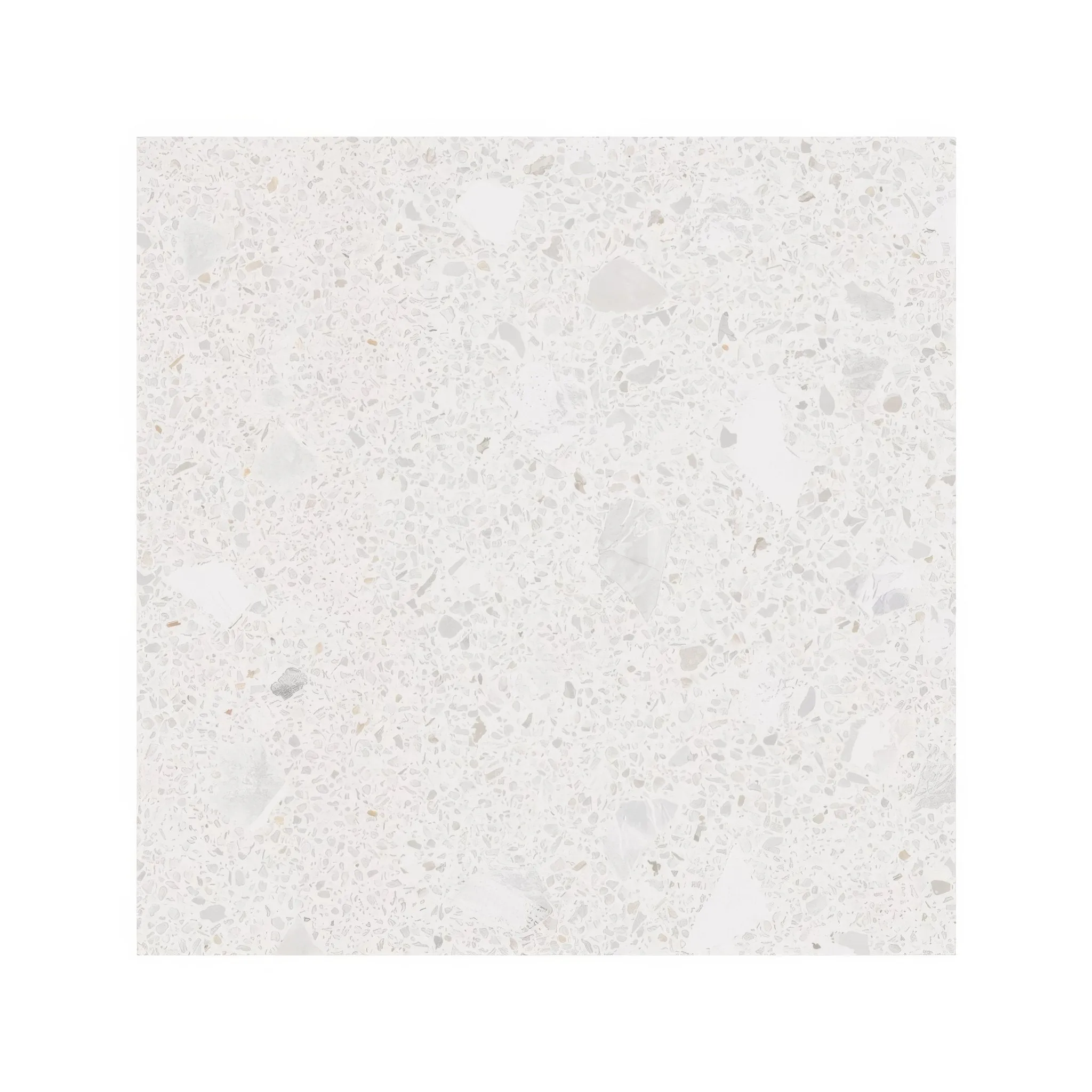 Frammento White