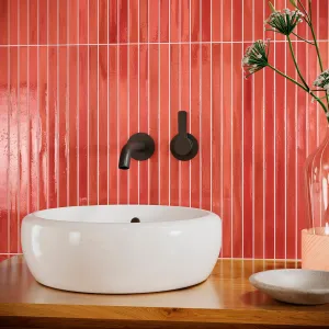 Koeda XL Wilde Coralito