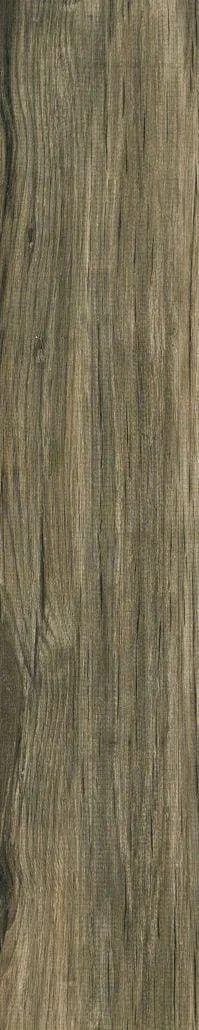Lignum Taupe Natural Rectified Glazed Porcelain