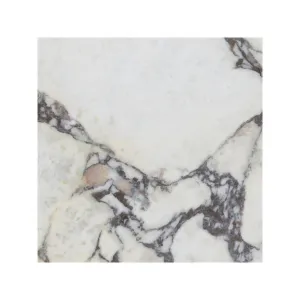 Lux Viola 60 x 60cm