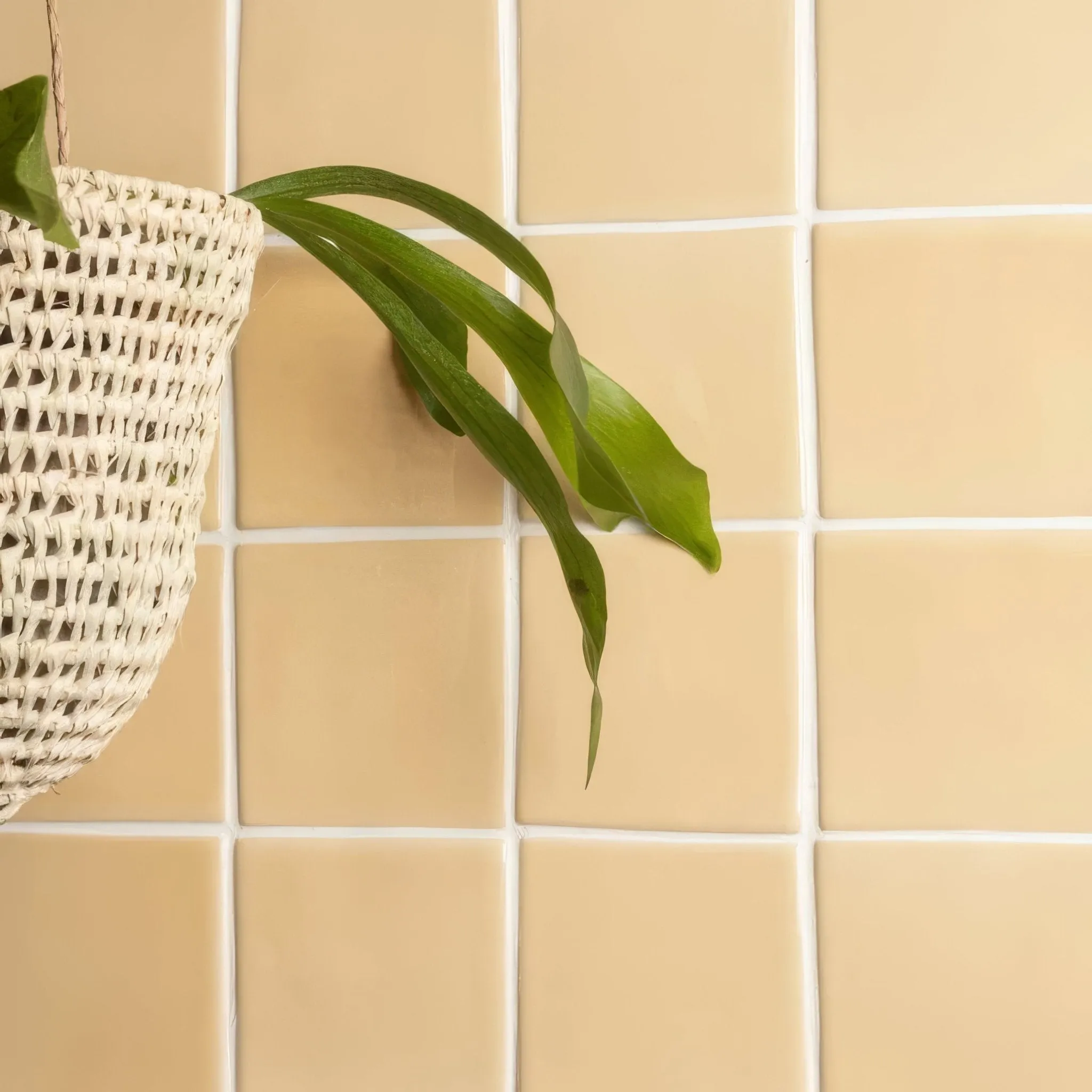 Maize Field Tile