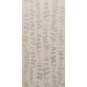 Meadow Eucalyptus