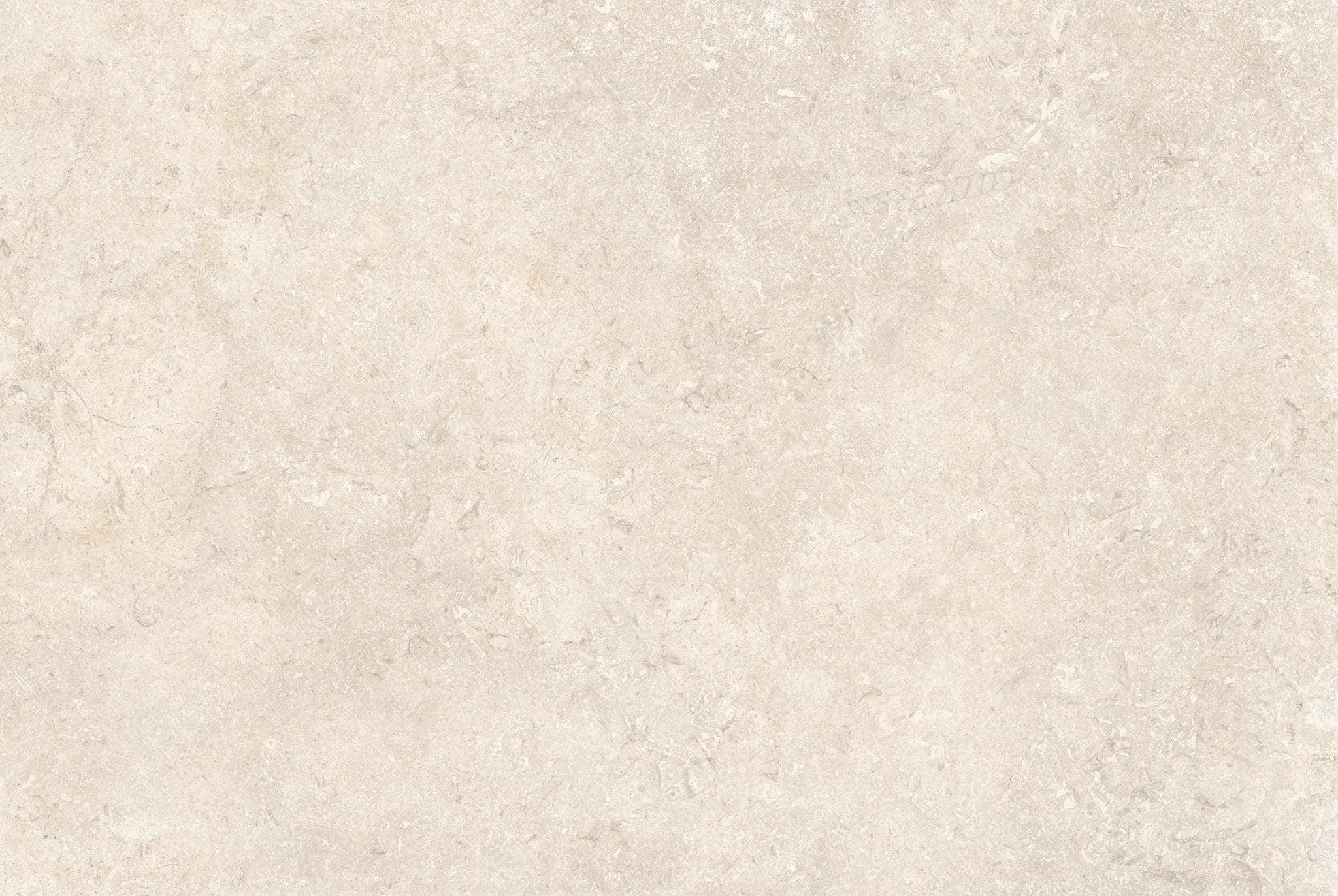 Mediterranean Porcelain Ivory