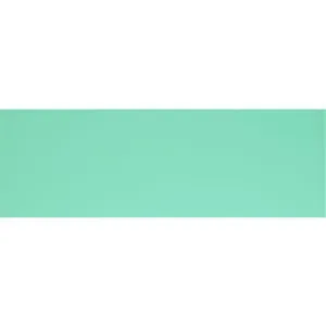 Mississippi Clear Glass 300 x 100mm