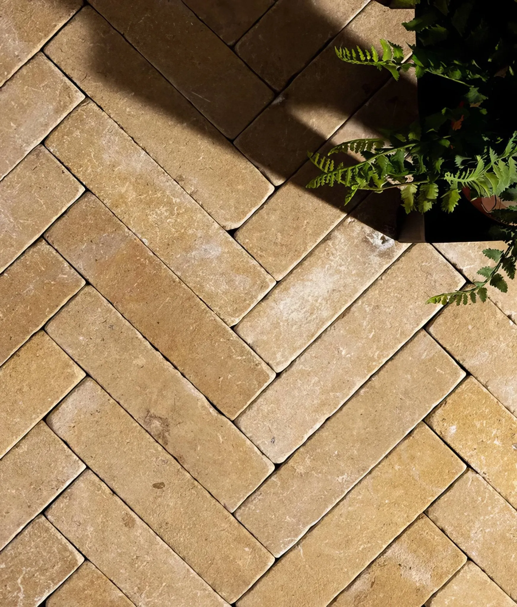 Neranjo Limestone Parquet Tumbled & Etched Finish