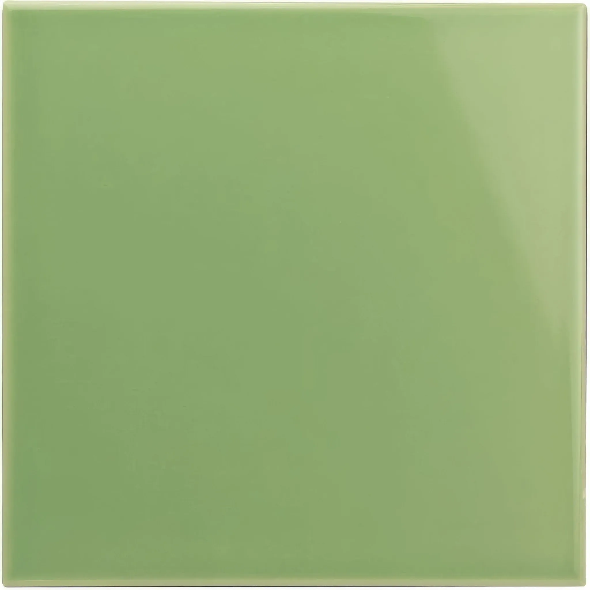 Palm Green Field Tile