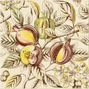Pomegranate Continuous Patterns on County White
