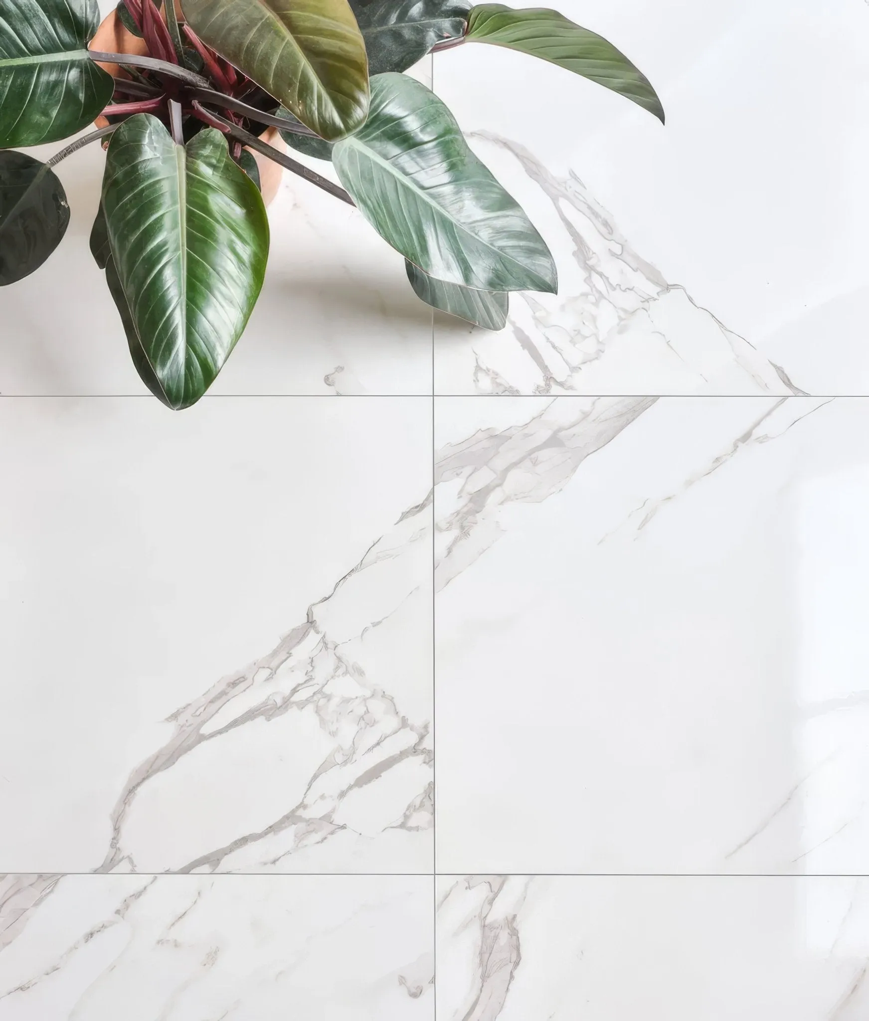 Portare Kensington Porcelain Gloss