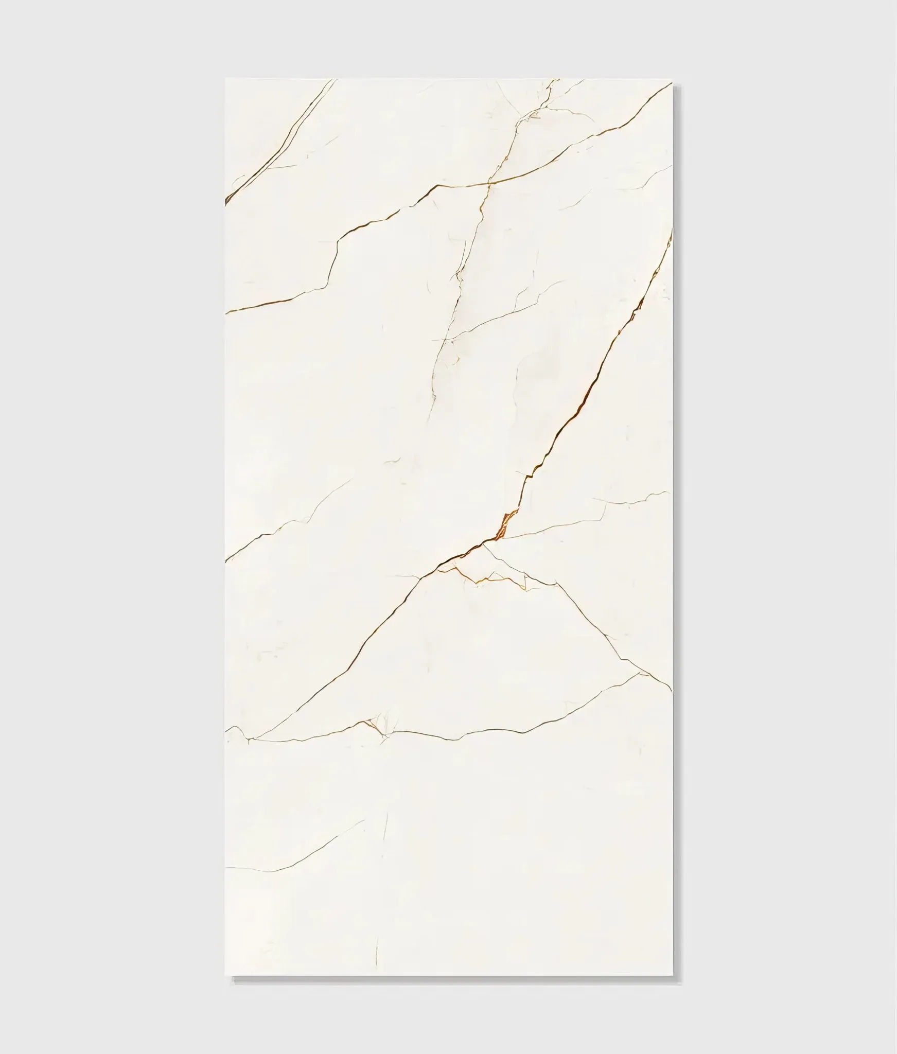 Portare Soprano Porcelain 60 x 120cm