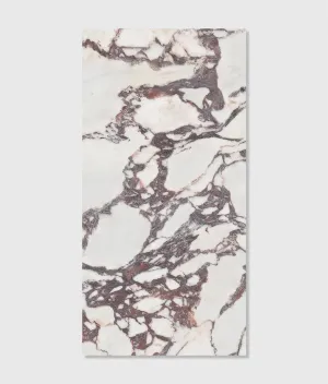 Savoy Porcelain