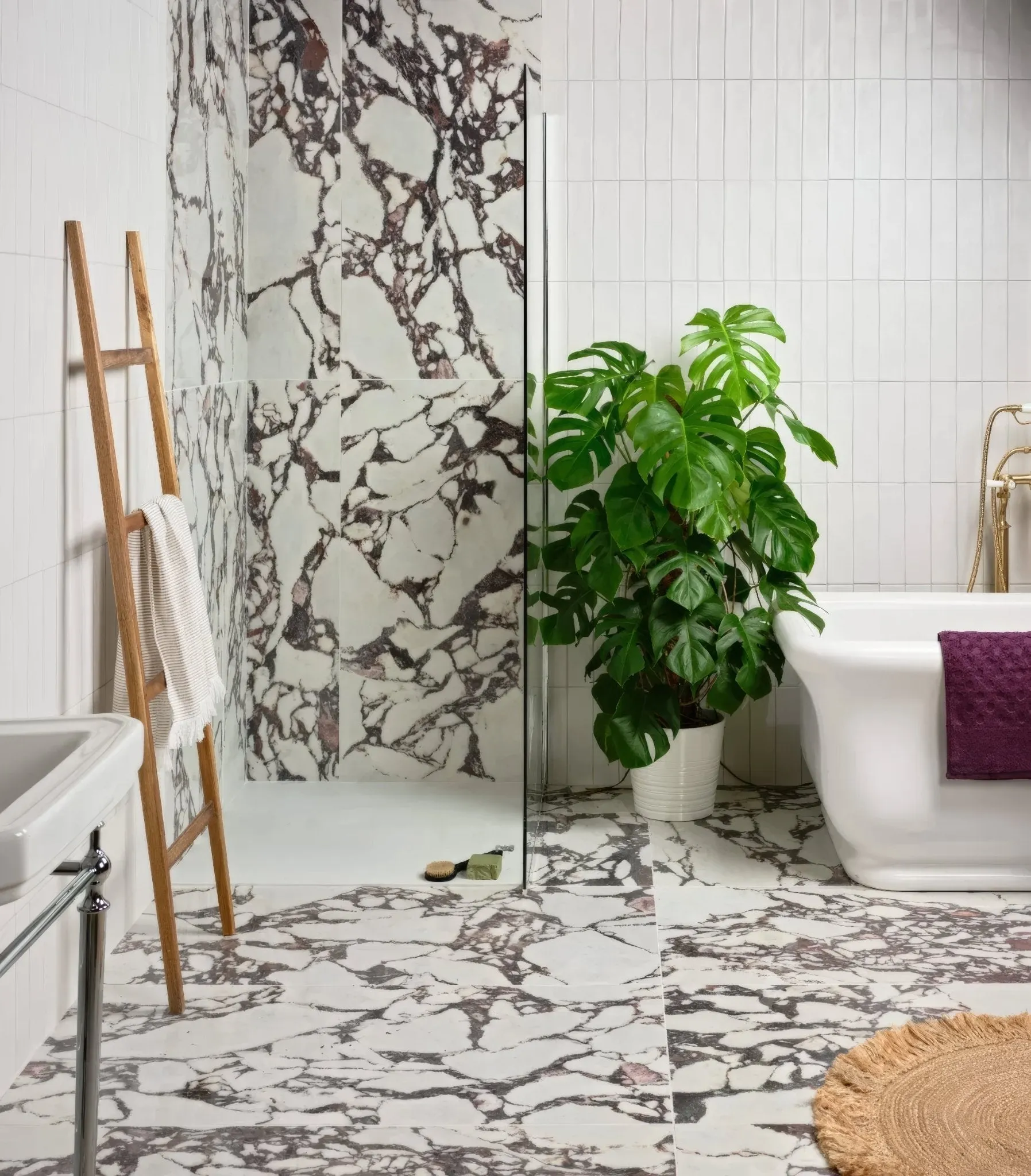Savoy Porcelain