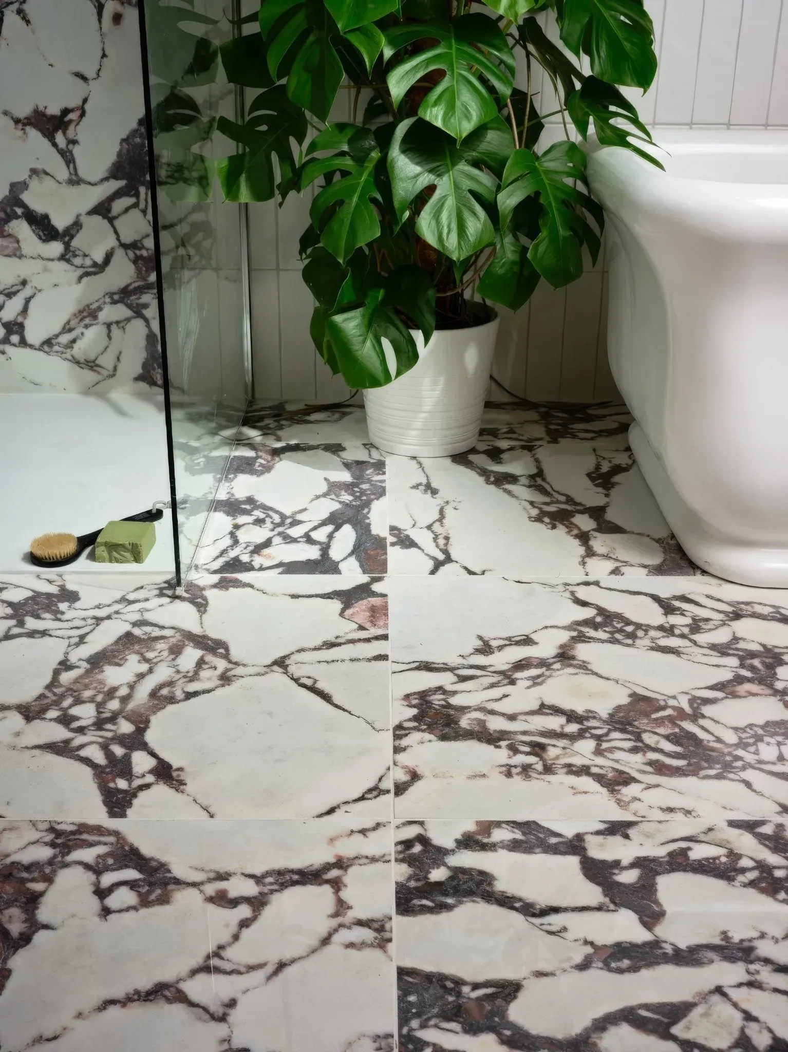 Savoy Porcelain