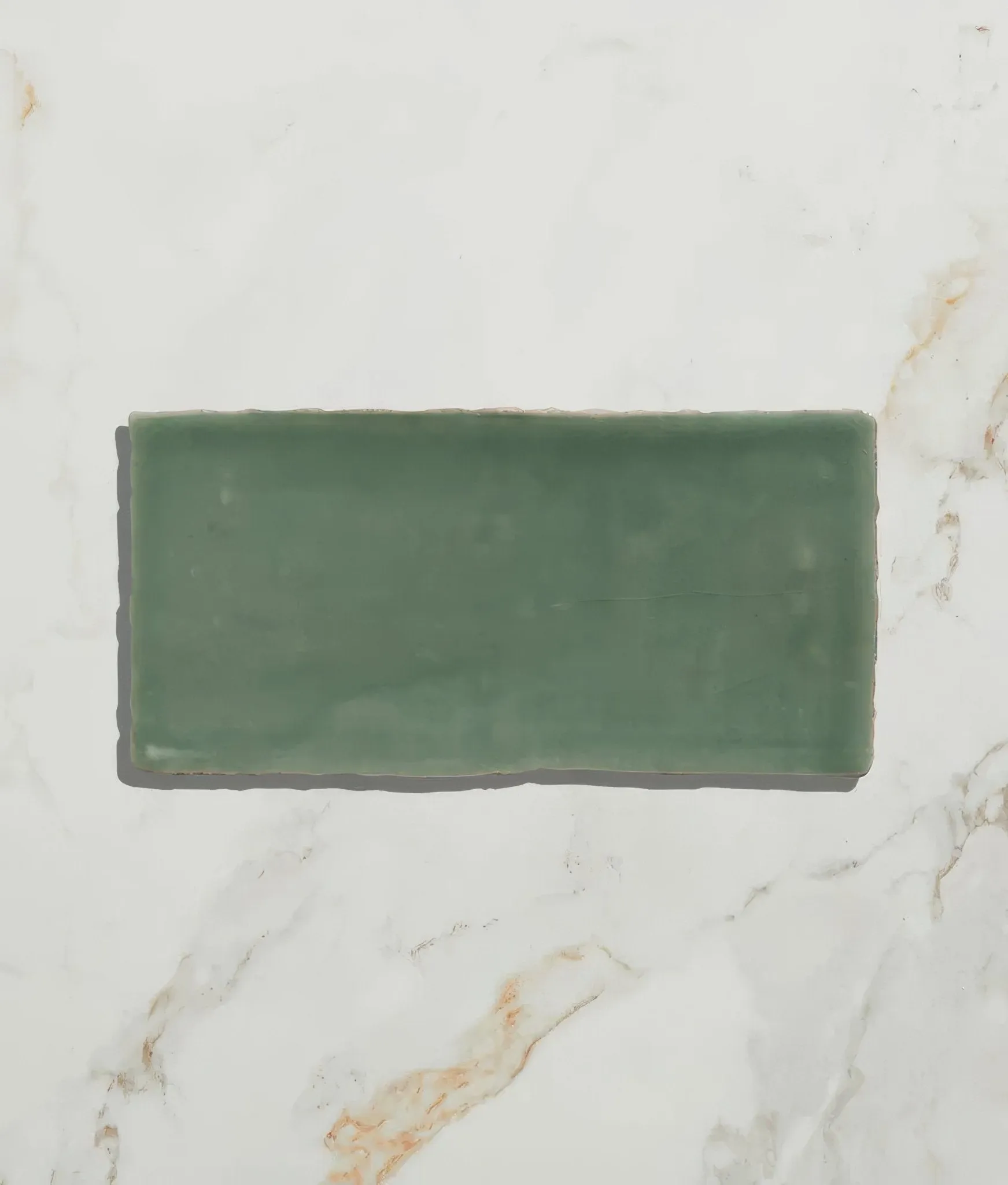 Seaton Ceramic Sea Cabbage