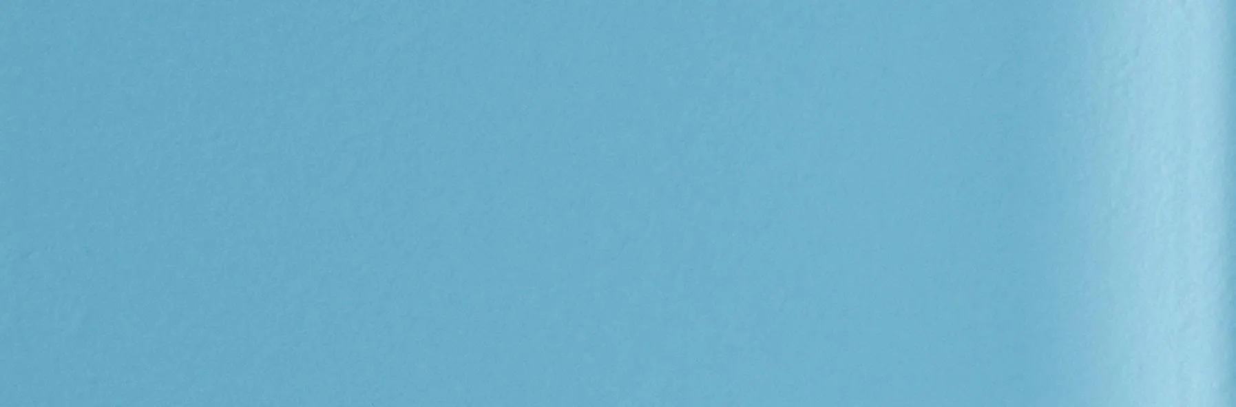 Seine Clear Glass 300 x 100mm