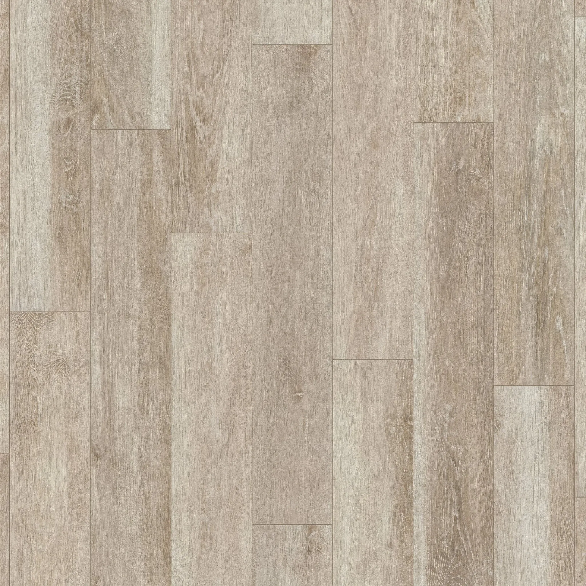 Southwold Birch Plank