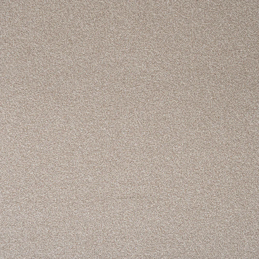 Stainfree Rustique Ultra Carpet by Abingdon