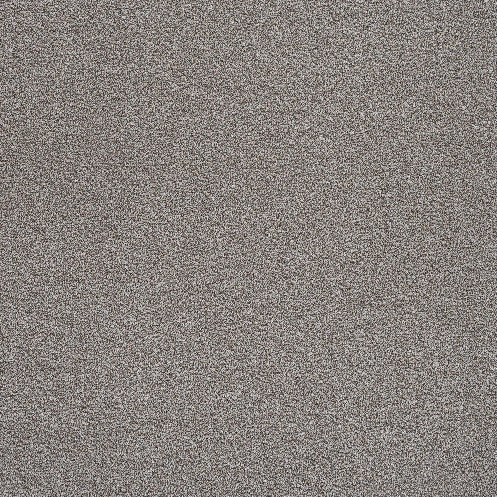 Stainfree Rustique Ultra Carpet by Abingdon