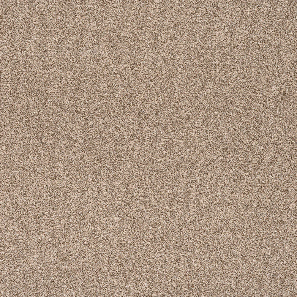 Stainfree Rustique Ultra Carpet by Abingdon