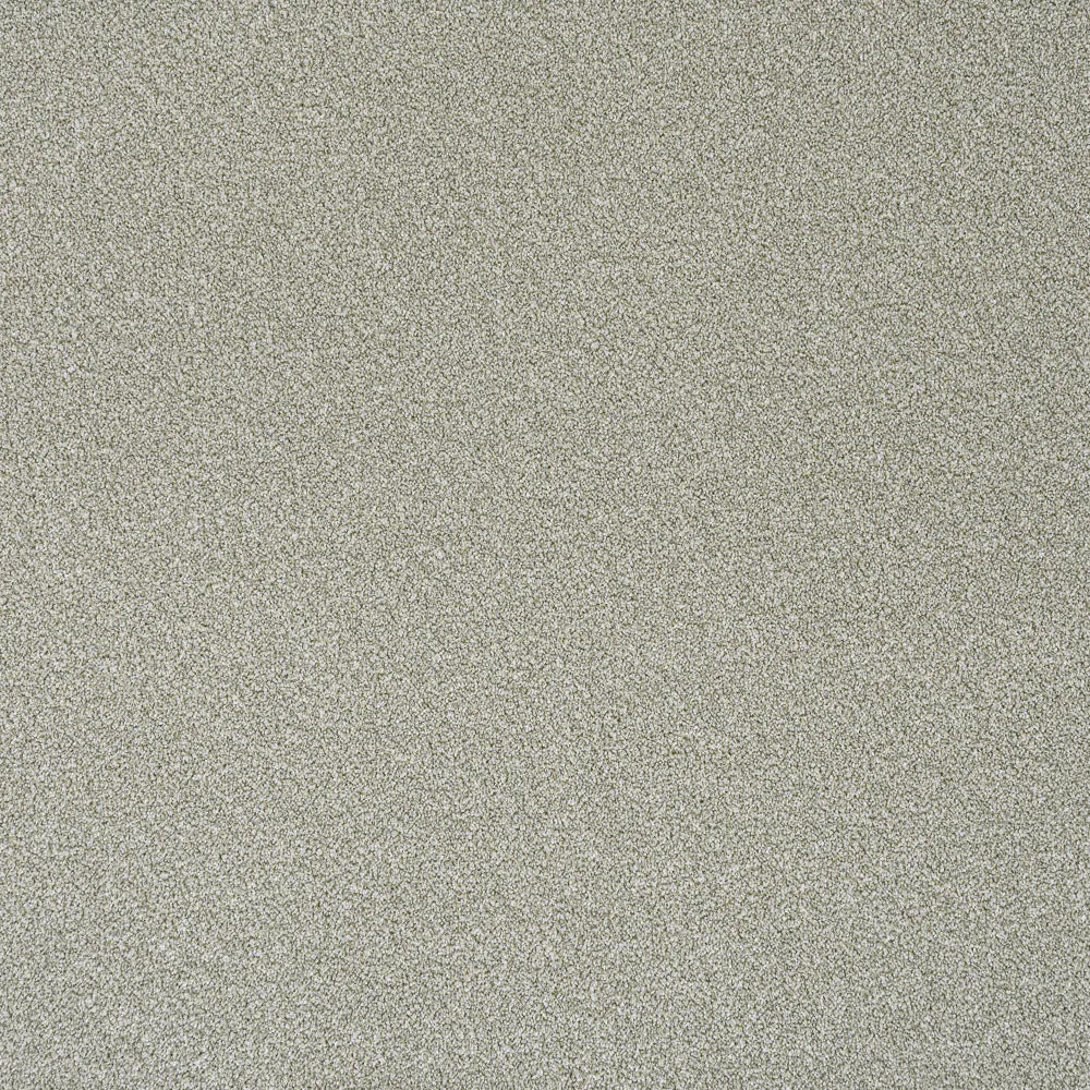 Stainfree Rustique Ultra Carpet by Abingdon