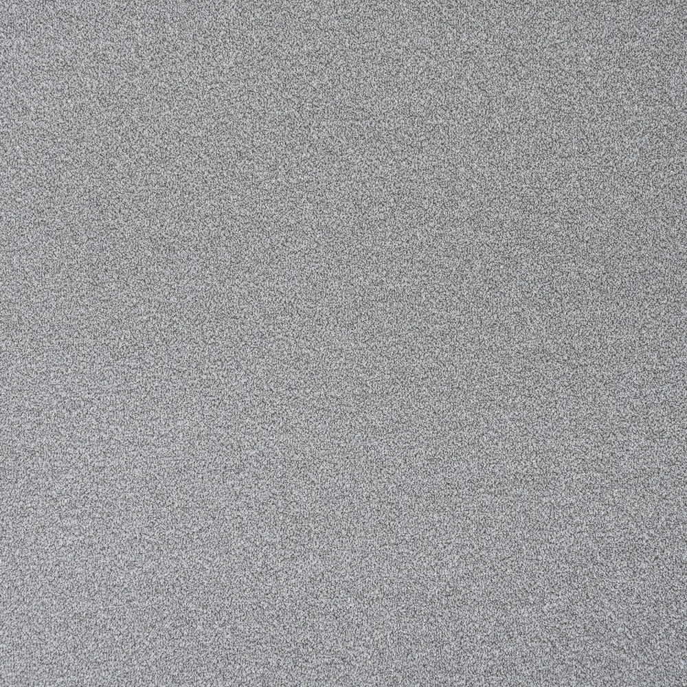 Stainfree Rustique Ultra Carpet by Abingdon