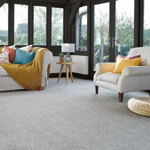 Stainfree Rustique Ultra Carpet by Abingdon