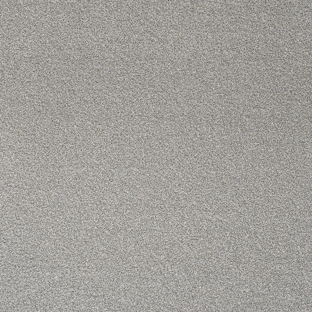 Stainfree Rustique Ultra Carpet by Abingdon