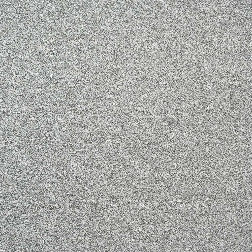 Stainfree Rustique Ultra Carpet by Abingdon