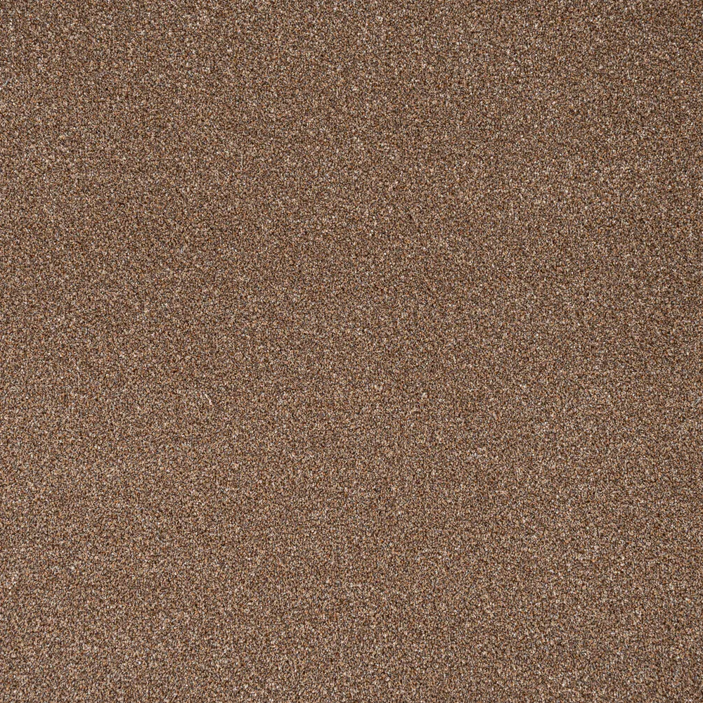 Stainfree Rustique Ultra Carpet by Abingdon