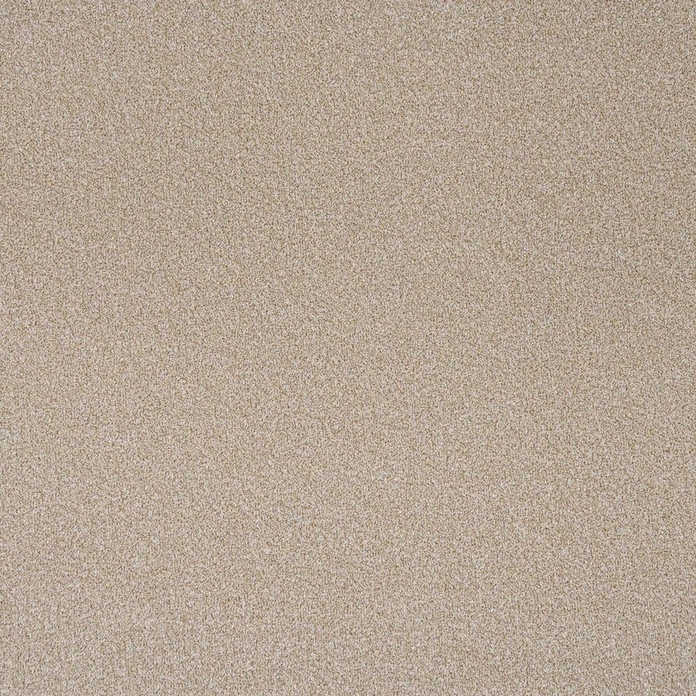 Stainfree Rustique Ultra Carpet by Abingdon