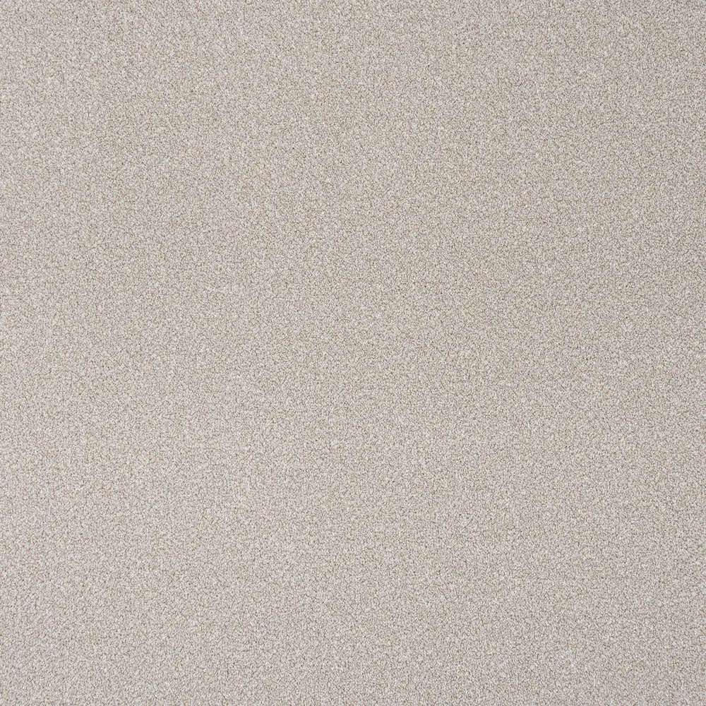 Stainfree Rustique Ultra Carpet by Abingdon