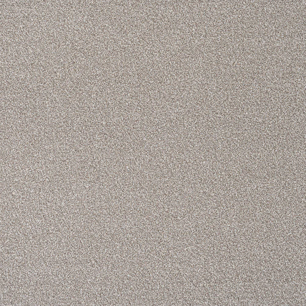 Stainfree Rustique Ultra Carpet by Abingdon