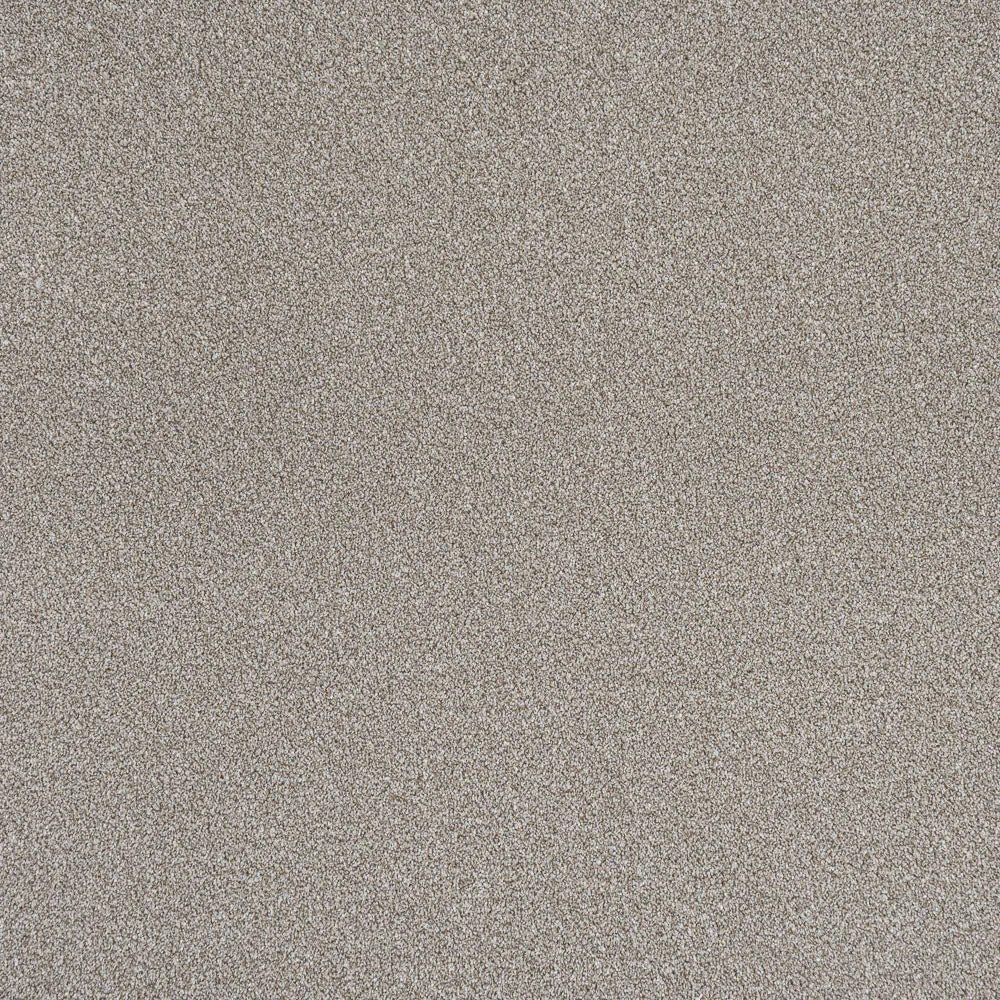 Stainfree Rustique Ultra Carpet by Abingdon