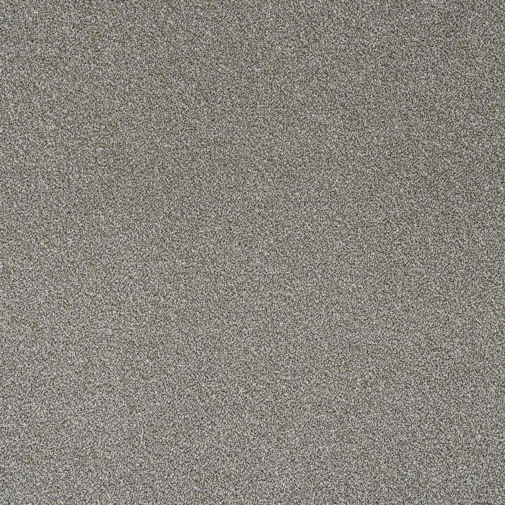 Stainfree Rustique Ultra Carpet by Abingdon