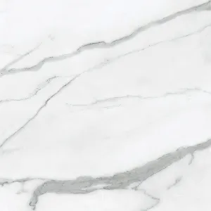 Statuario Nuovo Polished 60x60cm