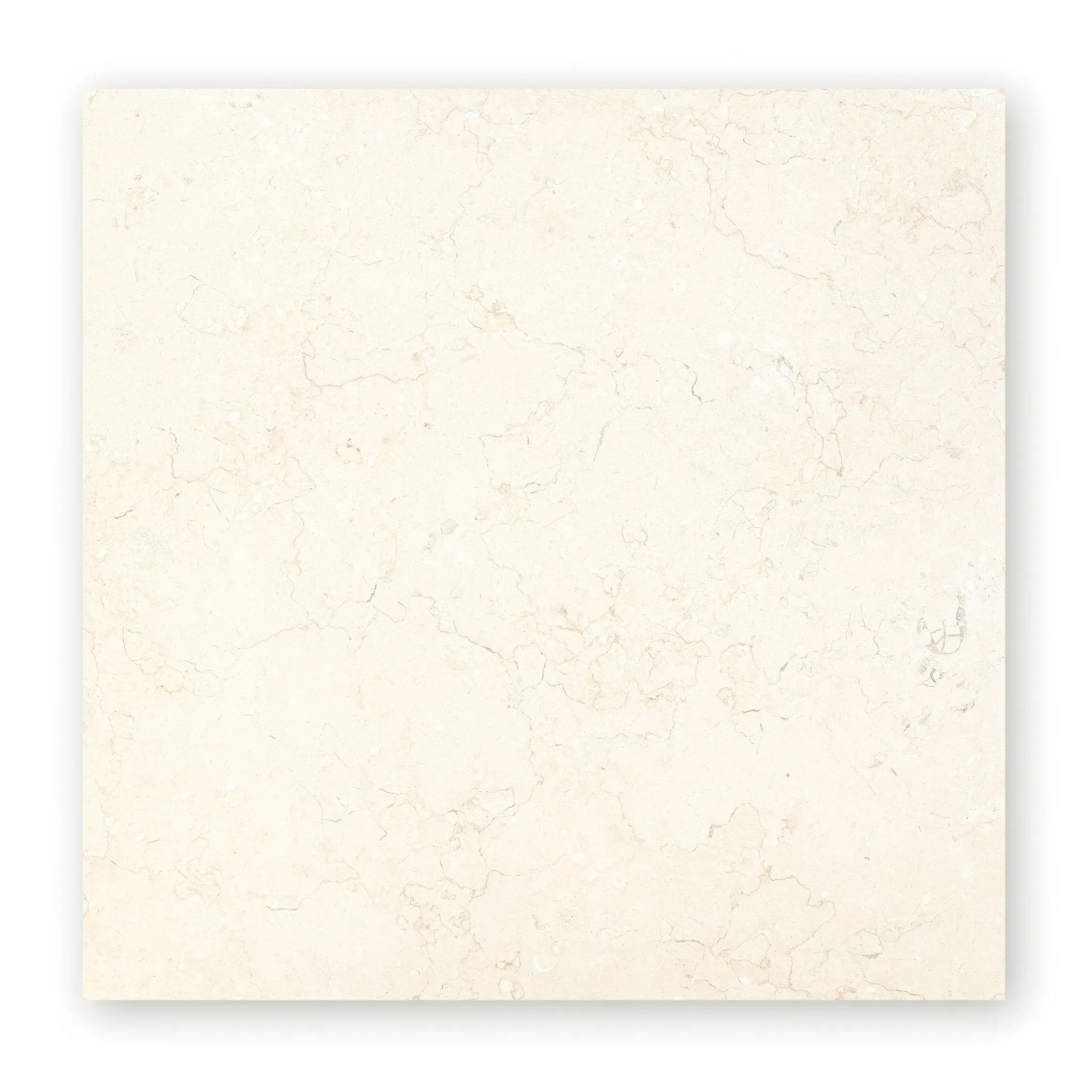 Temple Ezra 60 x 60cm Diamond Sawn Honed