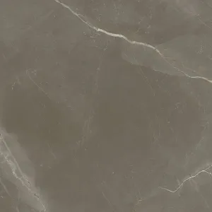 Venecia 1804 Gris Polished