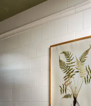 Wall Ceramic Cotton White Dado