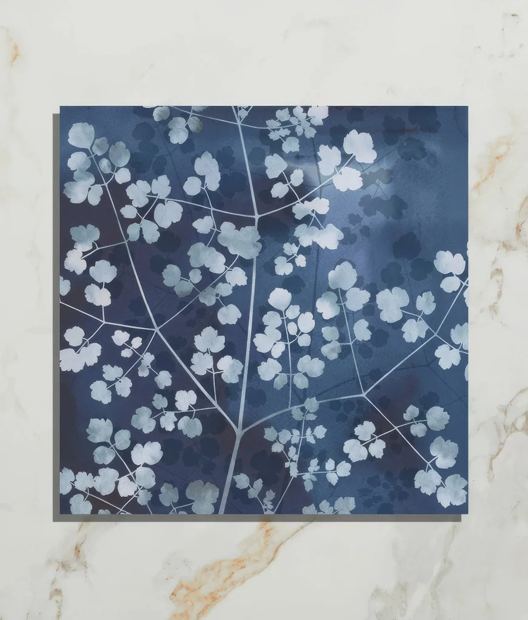 Wild Botanicals Porcelain Blue By Clarissa Hulse