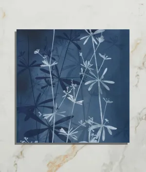 Wild Botanicals Porcelain Blue By Clarissa Hulse